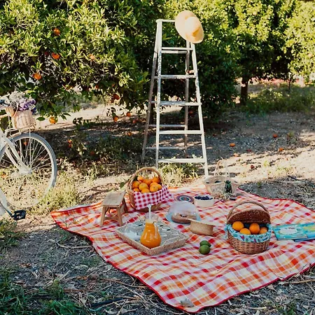 Apartment Auf Dem Lande By Interhome *